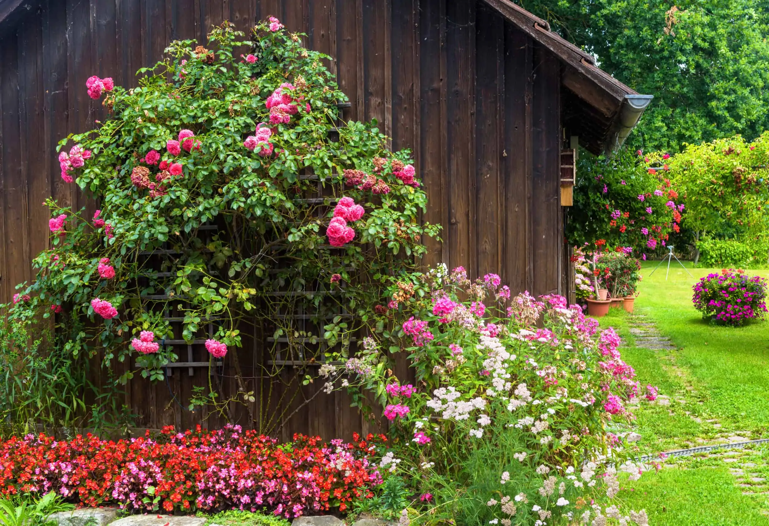 4 EASY WAYS TO FIX LANDSCAPING